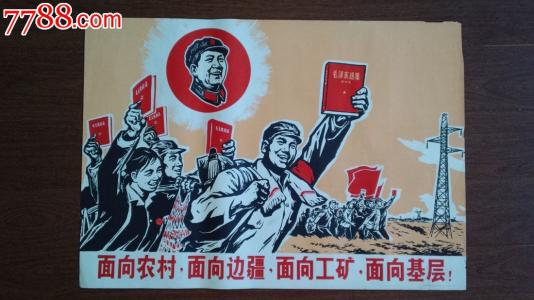 学位认证材料用照片